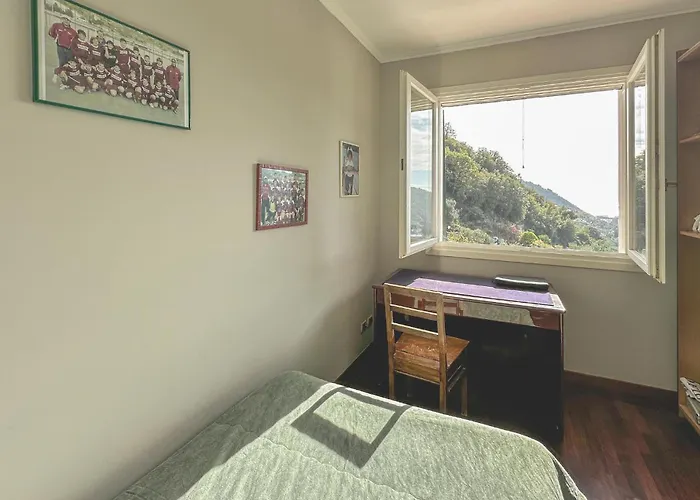 Pet Friendly In Vallecrosia