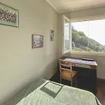 Pet Friendly In Vallecrosia
