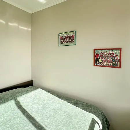 Pet Friendly In *
