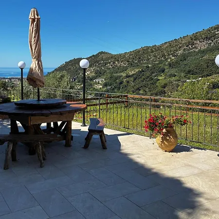 Pet Friendly In Tatil Evi