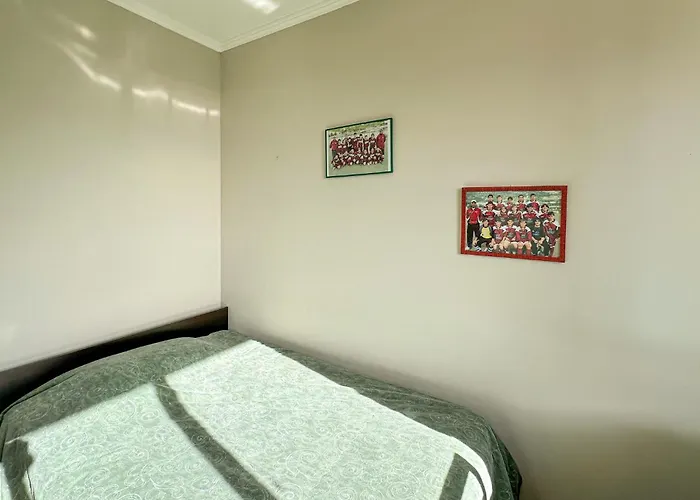 Pet Friendly In *